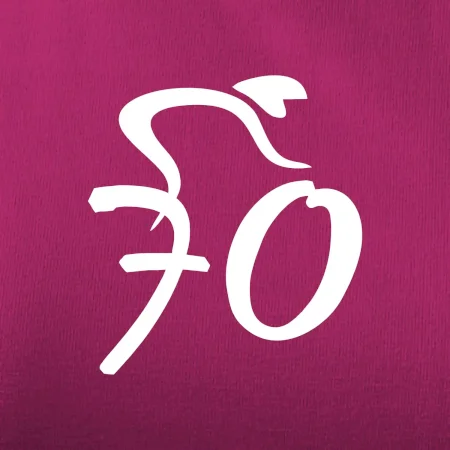 Cyklista slaví sedmdesátku (70)