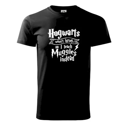 Harry - Hogwarts wasn’t hiring, so I teach Muggles instead
