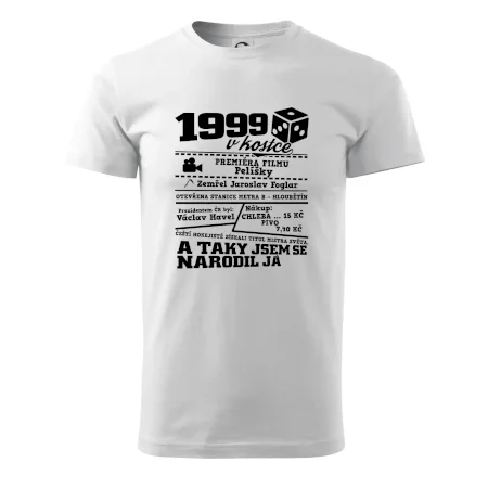 1999 v kostce