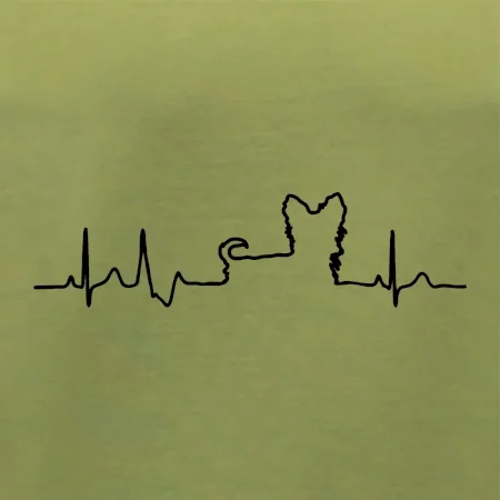 Jorkšírský teriér EKG