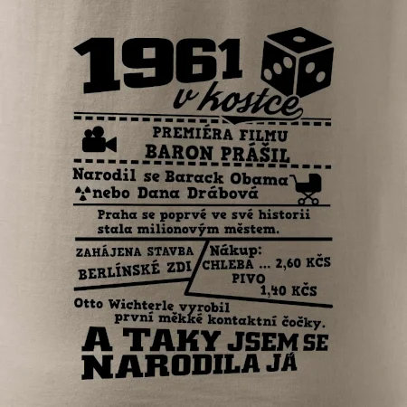 1961 v kostce