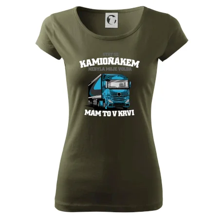 Stát se kamioňákem nebyla moje volba