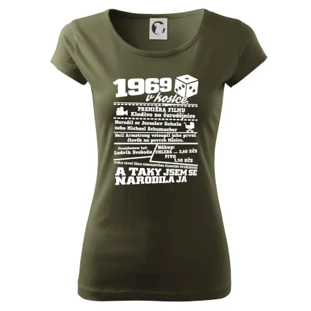 1969 v kostce