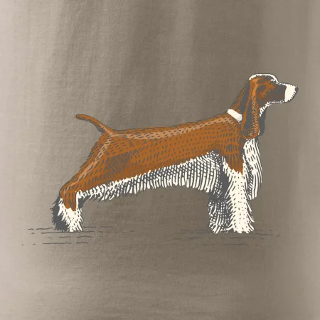 Vintage Springer spaniel