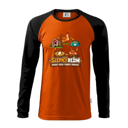 Slepičí režim od krmení po sběr vajec