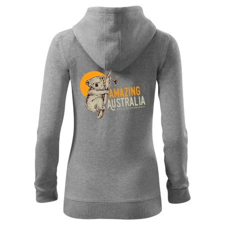 Amazing Australia koala