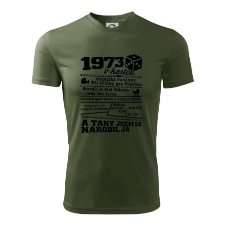1973 v kostce