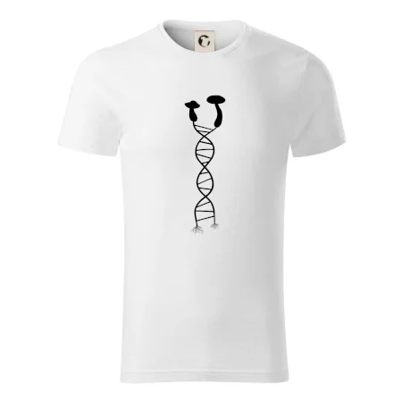 DNA houby