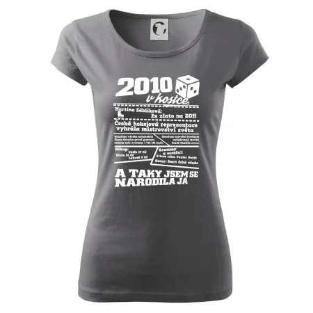 2010 v kostce