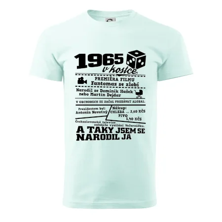 1965 v kostce