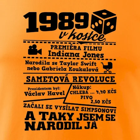 1989 v kostce
