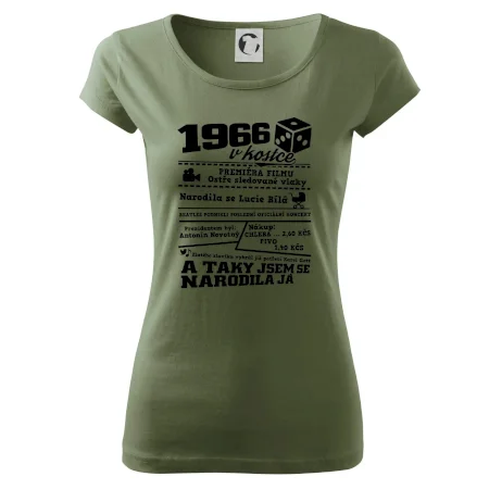 1966 v kostce