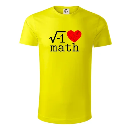 I love math