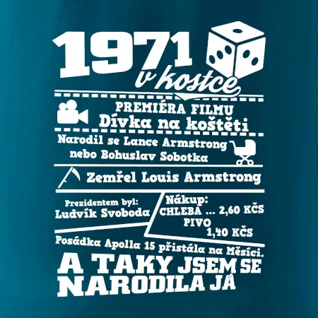 1971 v kostce