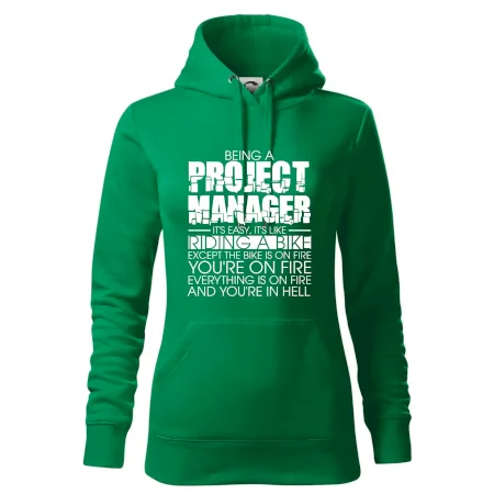 Being A Project Manager - bike