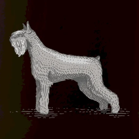 Vintage Schnauzer