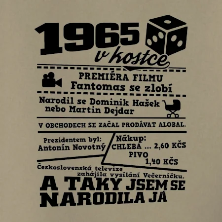 1965 v kostce