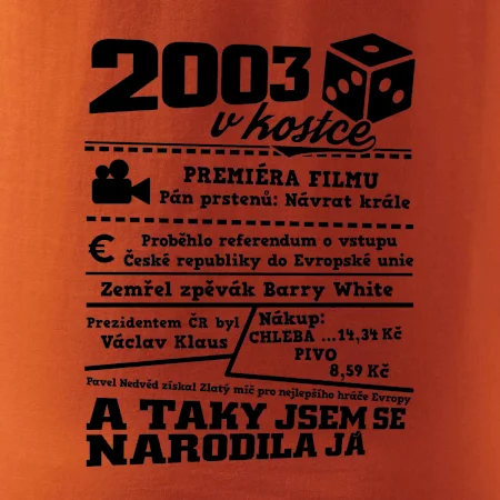2003 v kostce
