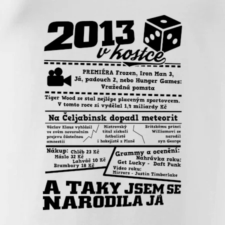 2013 v kostce