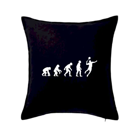 Evoluce Badminton