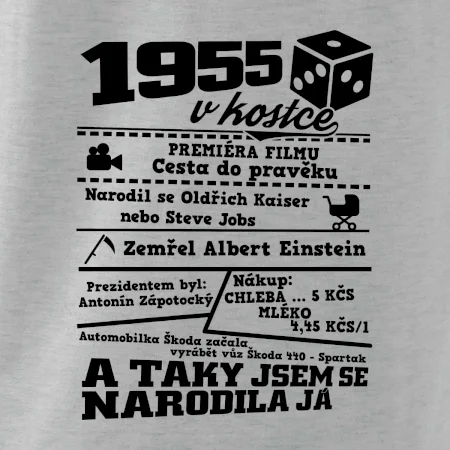 1955 v kostce