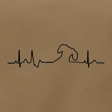 Jezevčík EKG