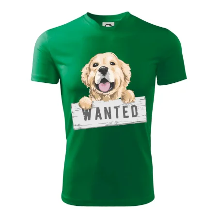 Zlatý retriever - štěně wanted