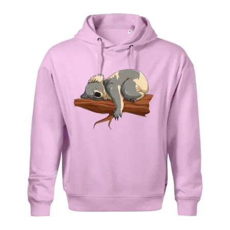 Koala na větvi