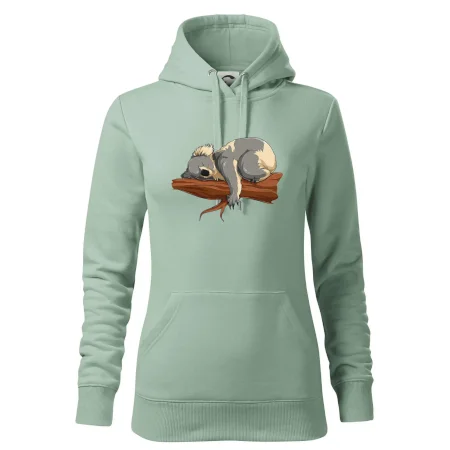 Koala na větvi