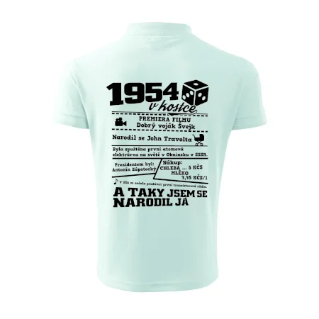 1954 v kostce
