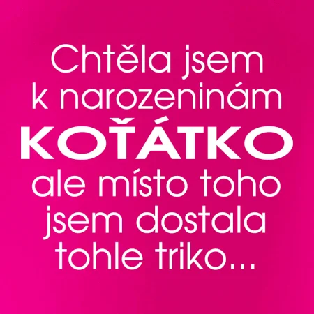 Chtěla jsem dostat k narozeninám koťátko