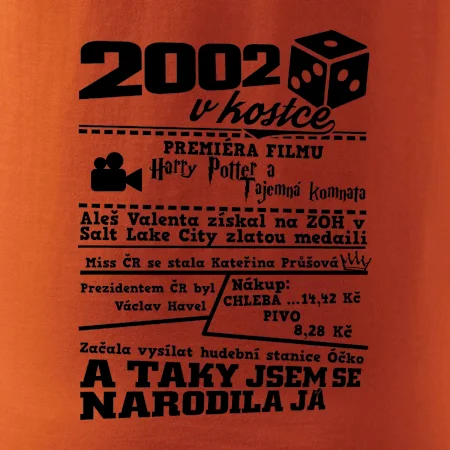 2002 v kostce