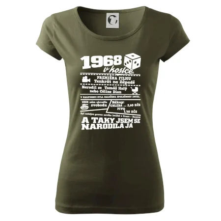 1968 v kostce