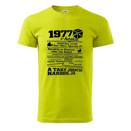 1977 v kostce