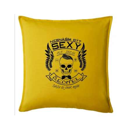 Nesnáším být sexy - ředitel