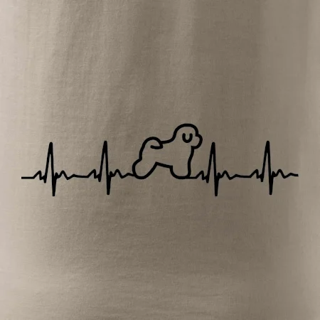 Bišonek ekg