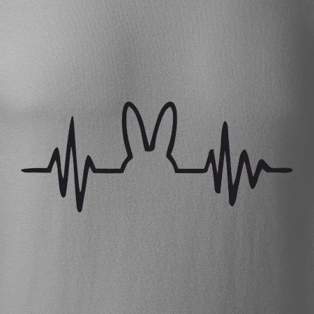 EKG zajíc