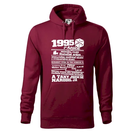 1995 v kostce