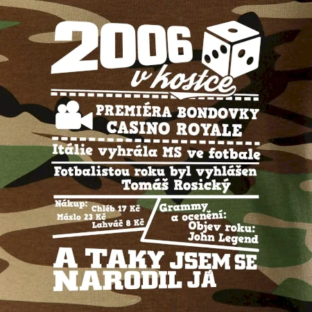 2006 v kostce
