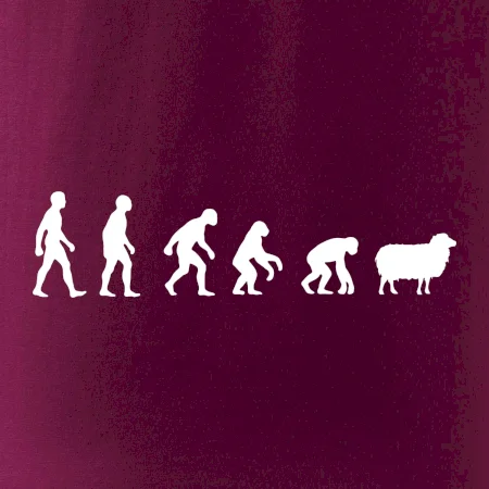 Evoluce ovce