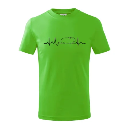 EKG morče