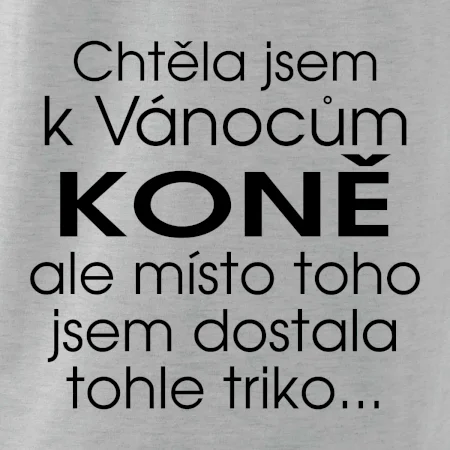 Chtěla jsem k Vánocům koně