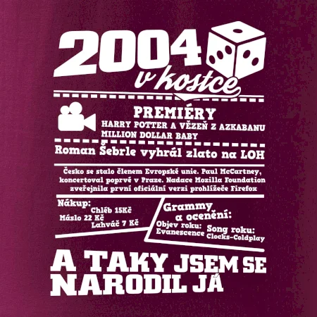 2004 v kostce