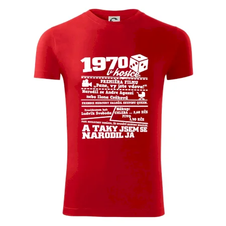 1970 v kostce