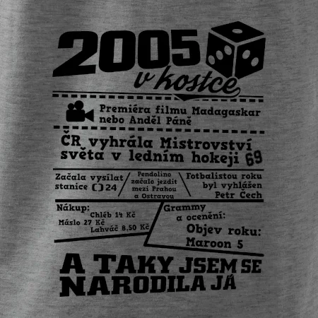 2005 v kostce