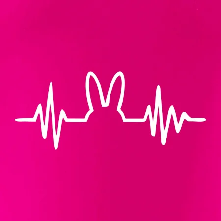 EKG zajíc
