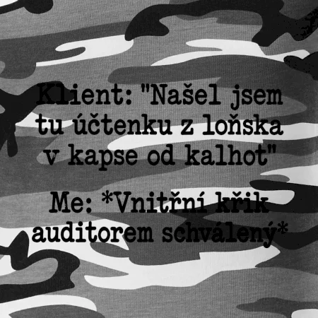 Klient a vnitřní auditorský křik