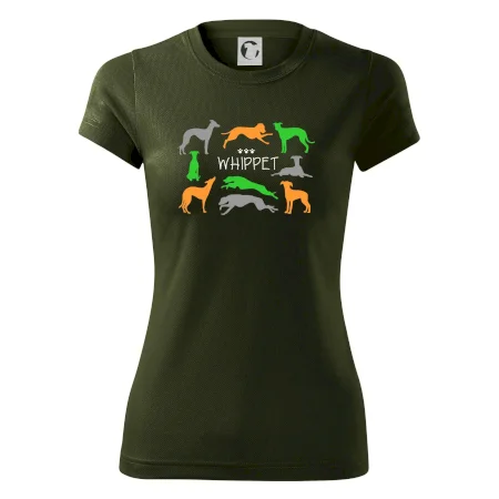 Whippet barevný