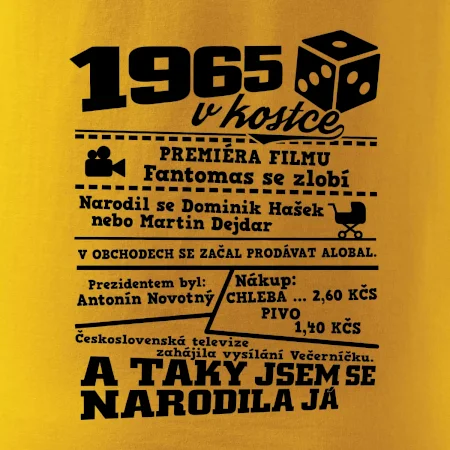 1965 v kostce