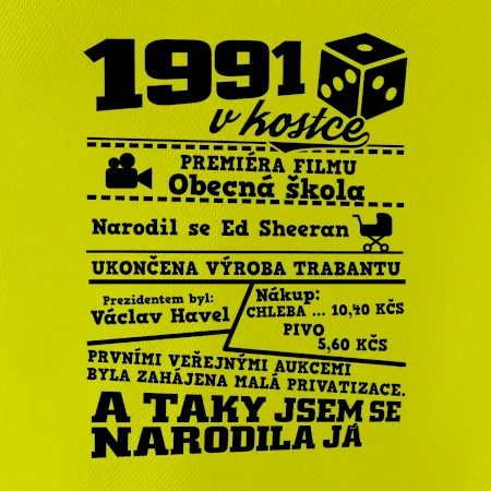 1991 v kostce